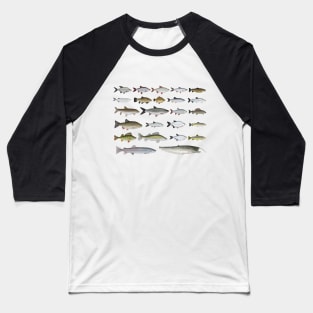 European Freshwater Fish Group Baseball T-Shirt